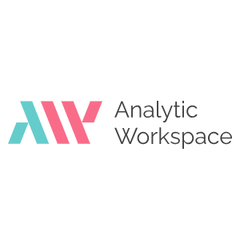 AW BI (Analytic Workspace)