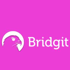 Bridgit - отзывы от реальных клиентов - Малина Индекс