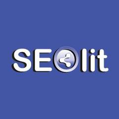 Seolit - отзывы от реальных клиентов - Малина Индекс